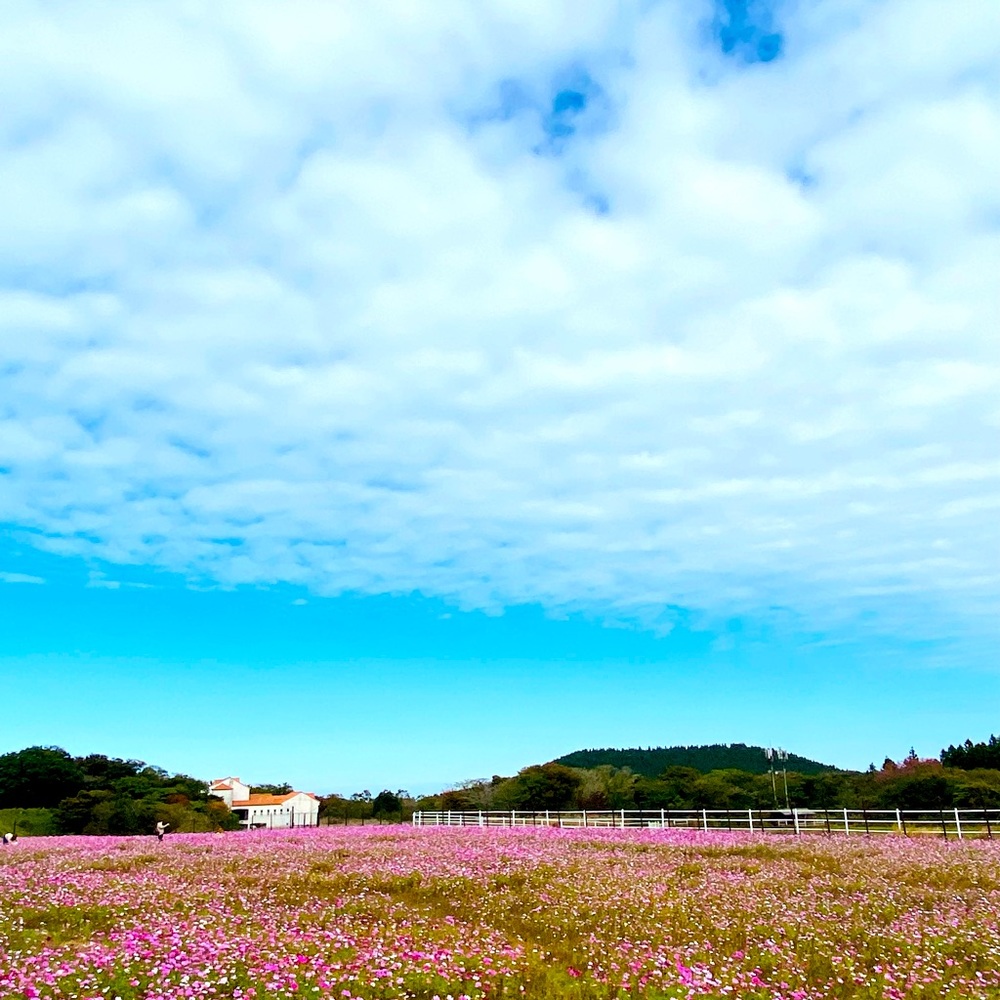 Meet your Posher, Jean